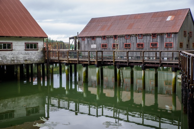 The North Pacific Cannery at Port Edward just south of Prince Rupert is now a National Historic Site. Early in the last century though, it was a busy salmon cannery with a mixed labour force of First Nations and Canadians of European, Chinese and Japanese backgrounds. (Richard McGuire photo)